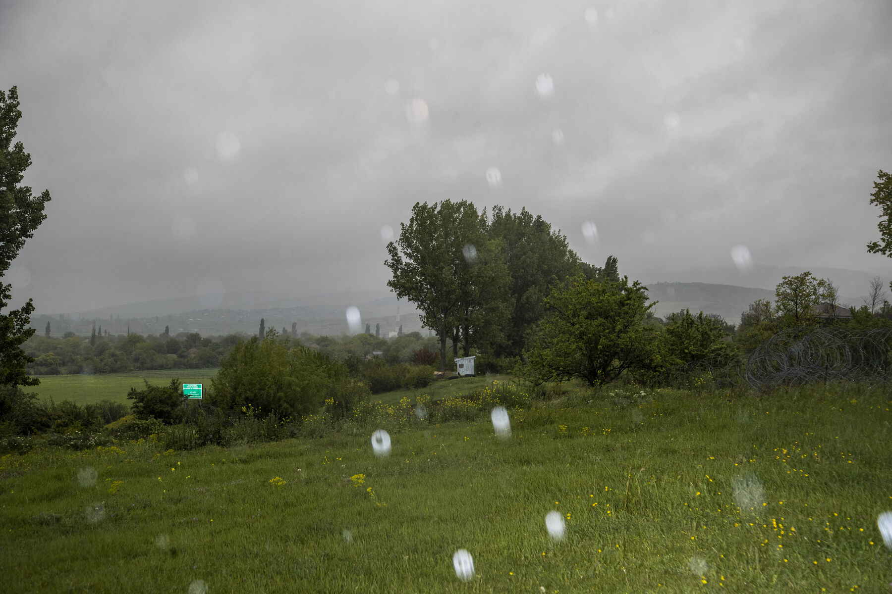 GEORGIA 775816482 01