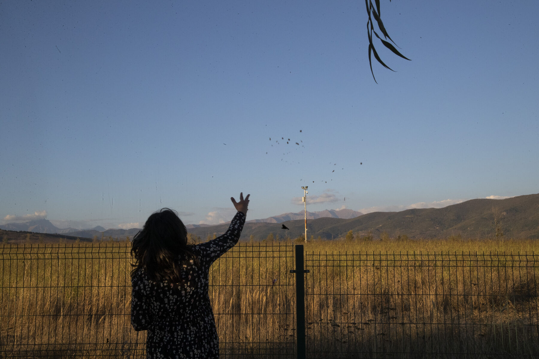 Shifting Borders DARO SULAKAURI 05